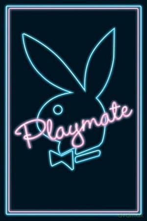 Playmate (Neon)