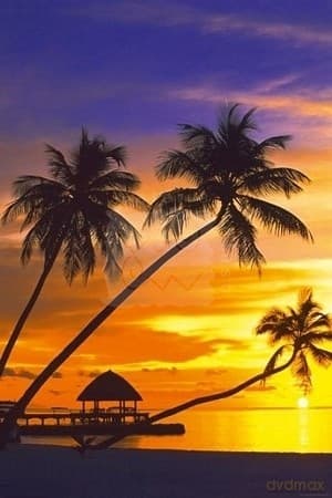 Plaża (Zachód I Palma)