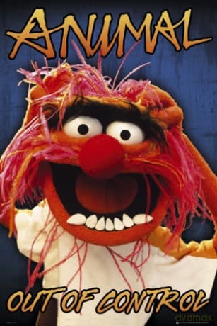 The Muppets Animal