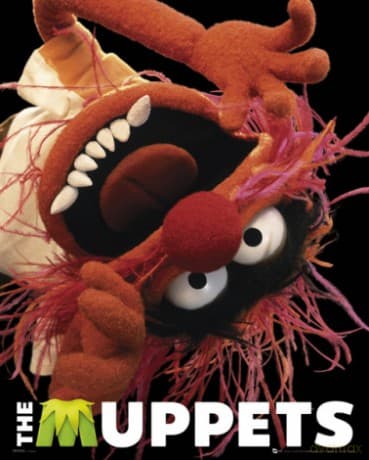 The Muppets Animal