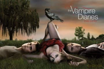 Vampire Diaries (Crow)
