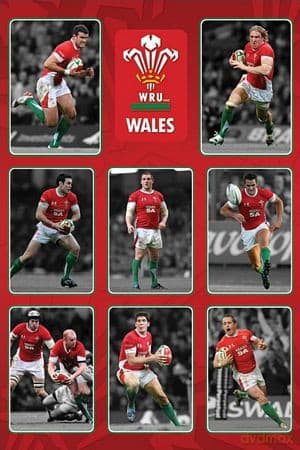 Wales R.U (Players)