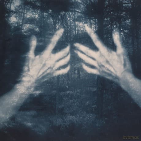 Silva Susana Santos: All The Birds And A Telephone Ringing