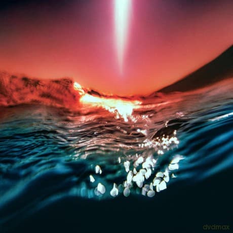 Bonobo: Fragments (Indie Exclusive)