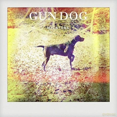 Micatone: Gun Dog