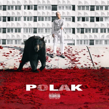 Plk - Polak (2)