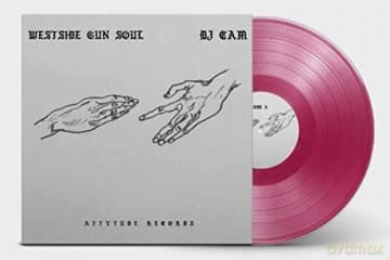 Dj Cam: Westside Gun Soul