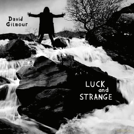 David Gilmour: Luck and Strange