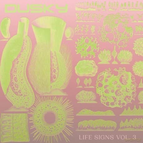 Dusky: Life Signs Vol. 3