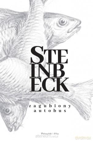 Zagubiony autobus - John Steinbeck, Andrzej Nowicki