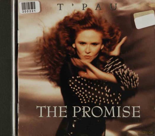 T'Pau: Promise