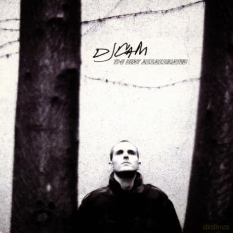 Dj Cam: The Beat Assassinated