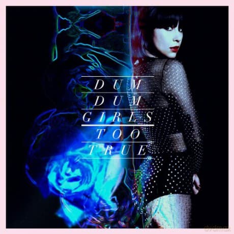 Dum Dum Girls: Too True