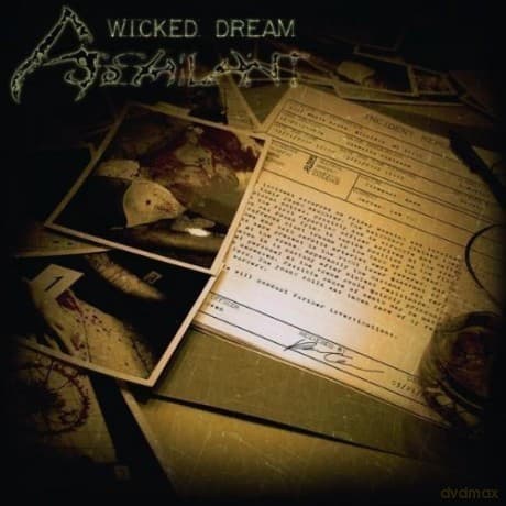 Assailant: Wicked Dream