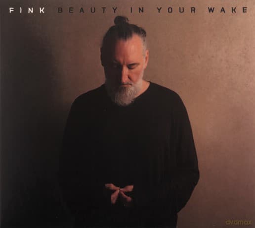 Fink: Beauty In Your Wake