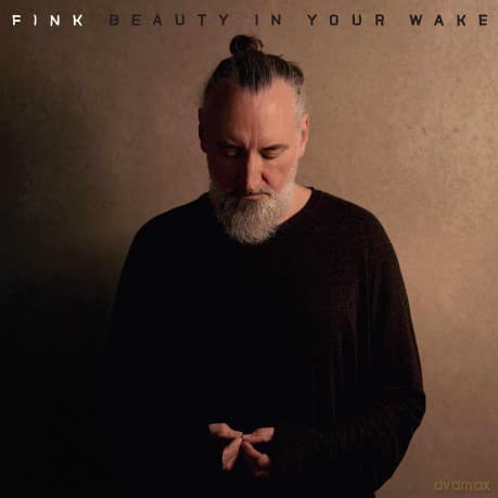 Fink: Beauty In Your Wake