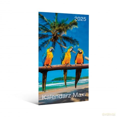 Kalendarz 2025 Maxi 1szt.mix
