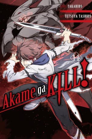 Akame ga Kill!, Vol. 14 (AKAME GA KILL GN) - Takahiro