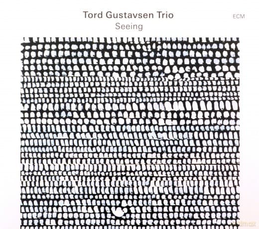 Tord Gustavsen: Seeing