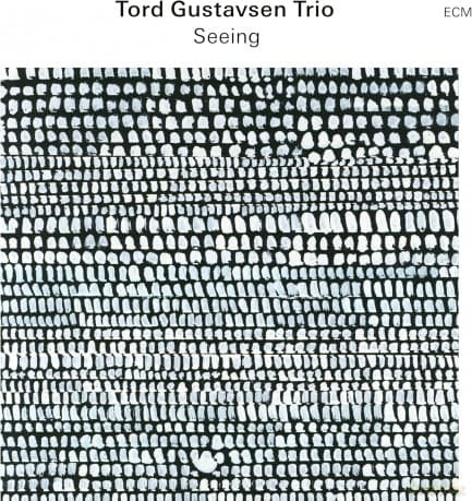 Tord Gustavsen: Seeing