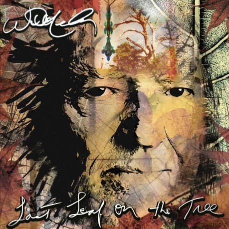 Willie Nelson: Last Leaf On The Tree