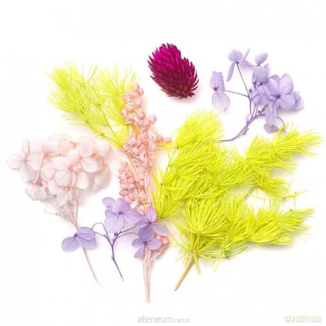 Kwiaty suszone dekoracyjne liliowy różowy