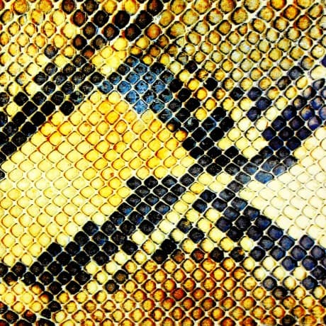 Amazing Snakeheads: Amphetamine Ballads (ecopack)