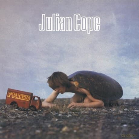 Julian Cope: Fried