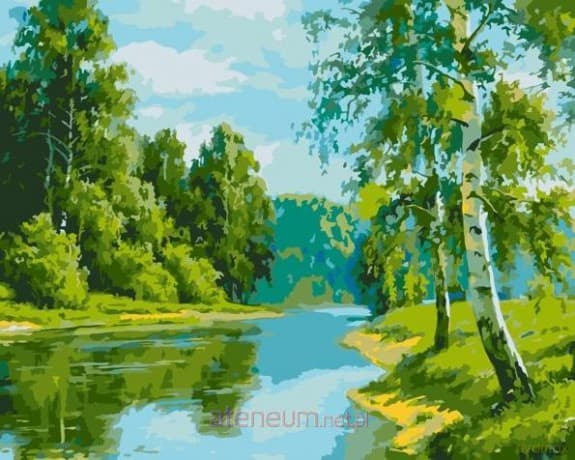 Malowanie po numerach - Brzozowa krawędź 40x50cm