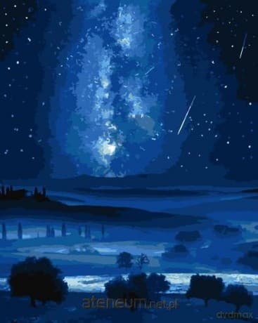 Malowanie po numerach - Droga Mleczna 40x50cm