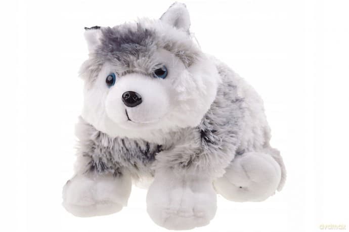 Poduszka pies husky 22x27cm