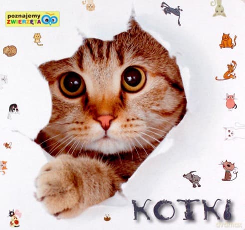 Poznajemy zwierzęta - Kotki