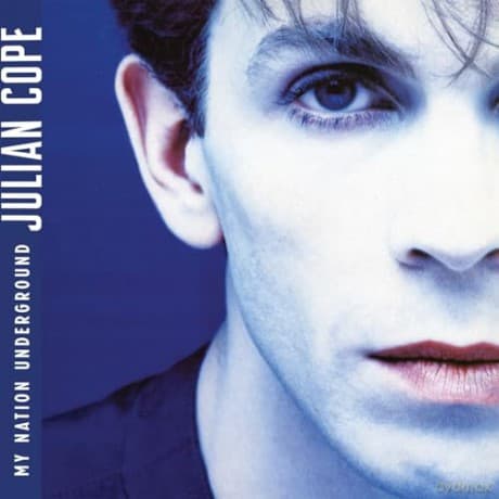 Julian Cope: My Nation Underground