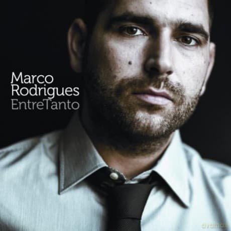 Marco Rodrigues: Entretanto 2013