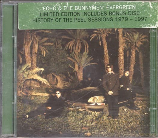 Echo & The Bunnymen: Evergreen
