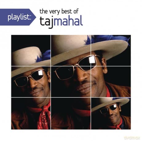 Taj Mahal: Playlist: The Very Best of Taj Mahal