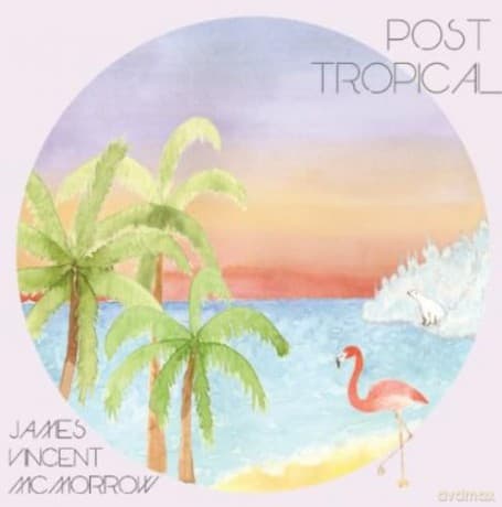 James Vincent Mcmorrow: Post Tropical
