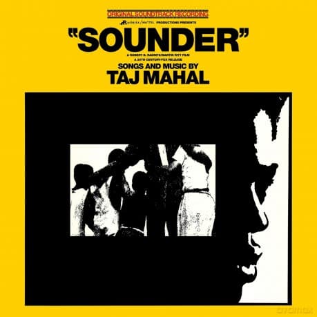 Taj Mahal: Sounder