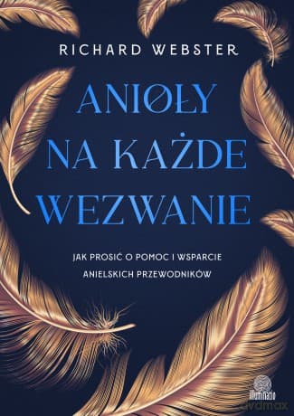 Anioły na każde wezwanie. Jak prosić o pomoc i wsparcie anielskich przewodników - Richard Webster
