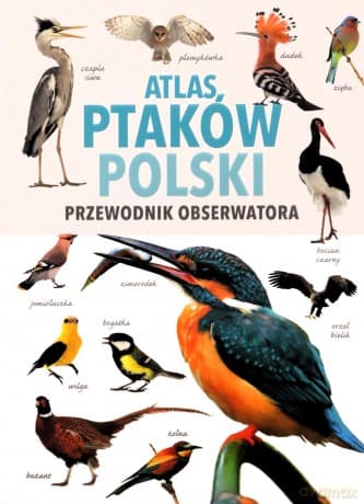 Atlas Ptaków Polski - Magdalena Janiszewska, Radosław Włodarczyk