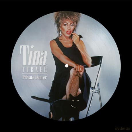 Tina Turner: Private Dancer (Picture)