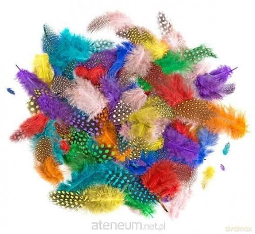 Piórka bażanta 4-7cm 10g brights