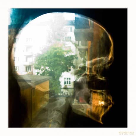 Plaid: Reachy Prints