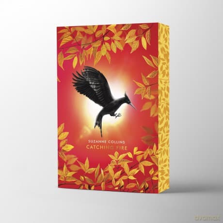 Catching Fire: the Deluxe Edition