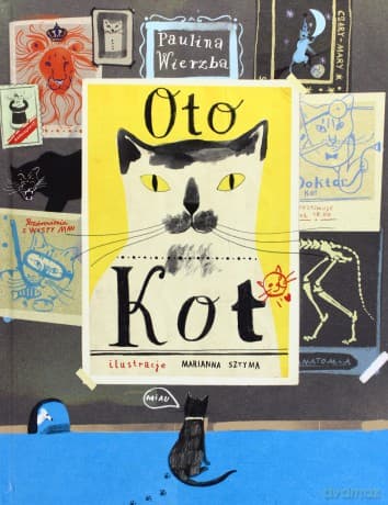 Oto kot