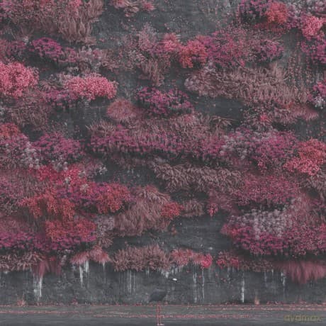 Sleep Token: Even In Arcadia