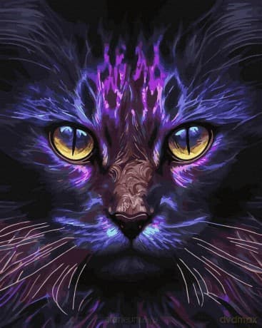Malowanie po numerach czarne płótno - Magiczny Kot