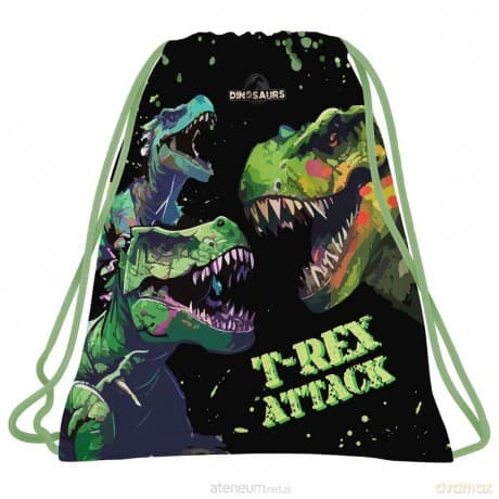 Worek na obuwie Dinozaur 20