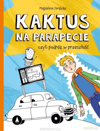 Kaktus na parapecie - Magdalena Zarębska