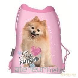 Worek na obuwie Sweet Pomeranian